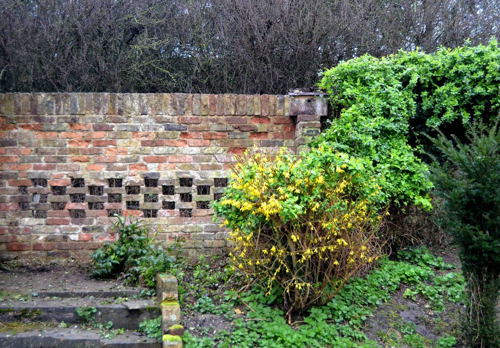 Garden Wall by arkensiel
