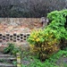 Garden Wall by arkensiel