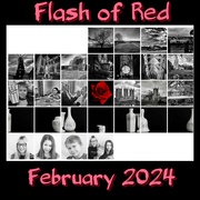 29th Feb 2024 - Flash of Red February 2024