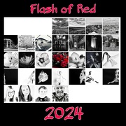 29th Feb 2024 - Flash of Red 2024