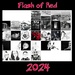 Flash of Red 2024