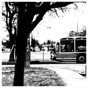 29th Feb 2024 - Bus Stop
