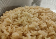 23rd Feb 2024 - Humble Rice