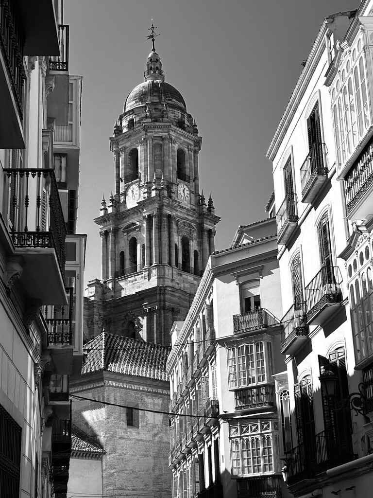 Malaga's cathedral #1 by fperrault