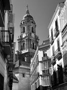 29th Feb 2024 - Malaga's cathedral #1