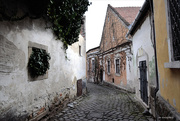 28th Feb 2024 - This is also Szentendre_