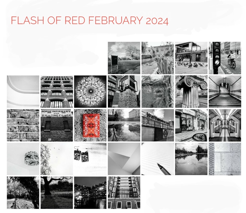 Flash of Red February 2024 by boxplayer