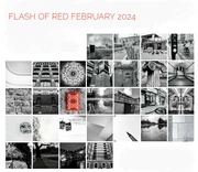 29th Feb 2024 - Flash of Red February 2024