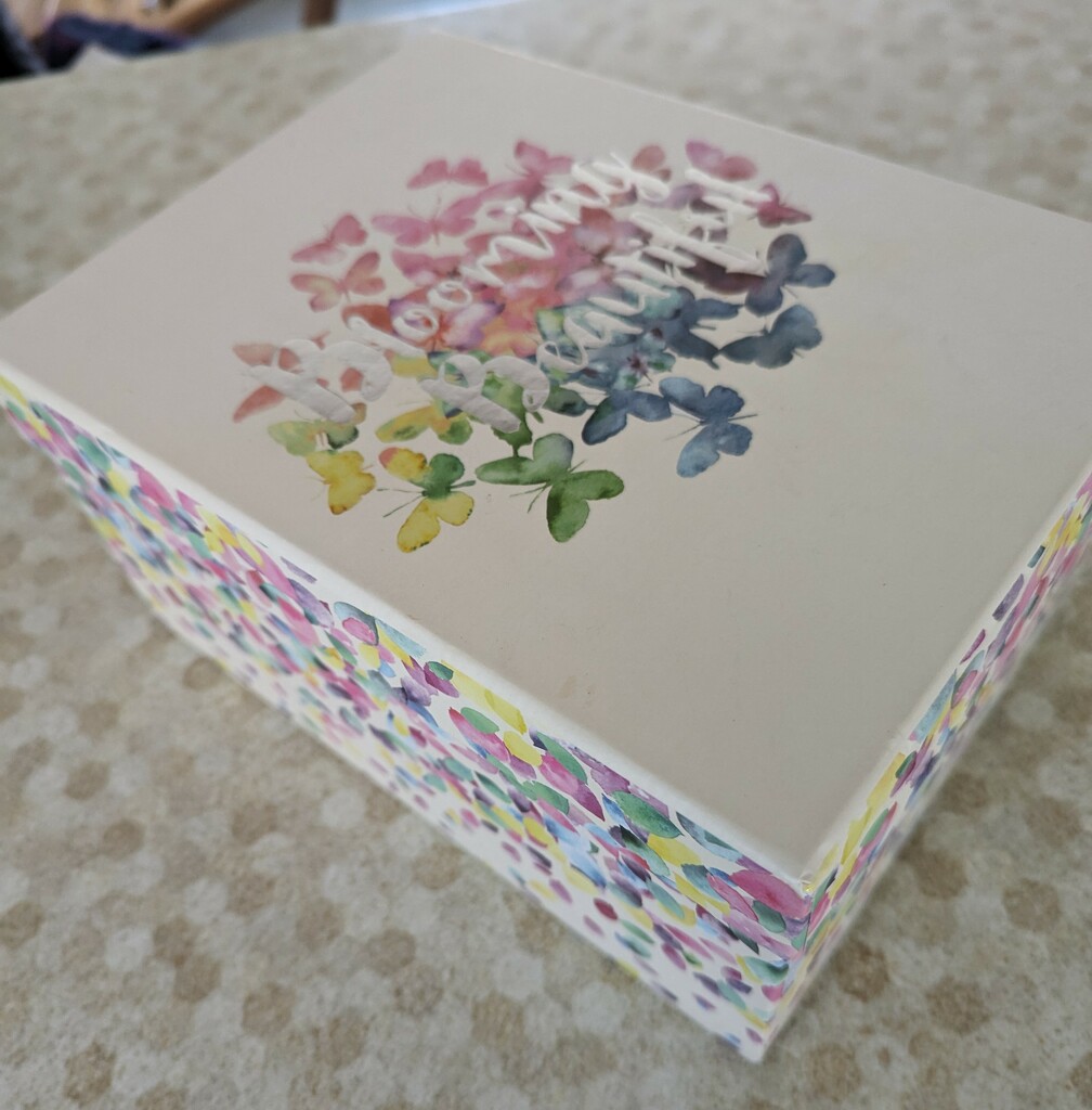 A pretty box by sarah19