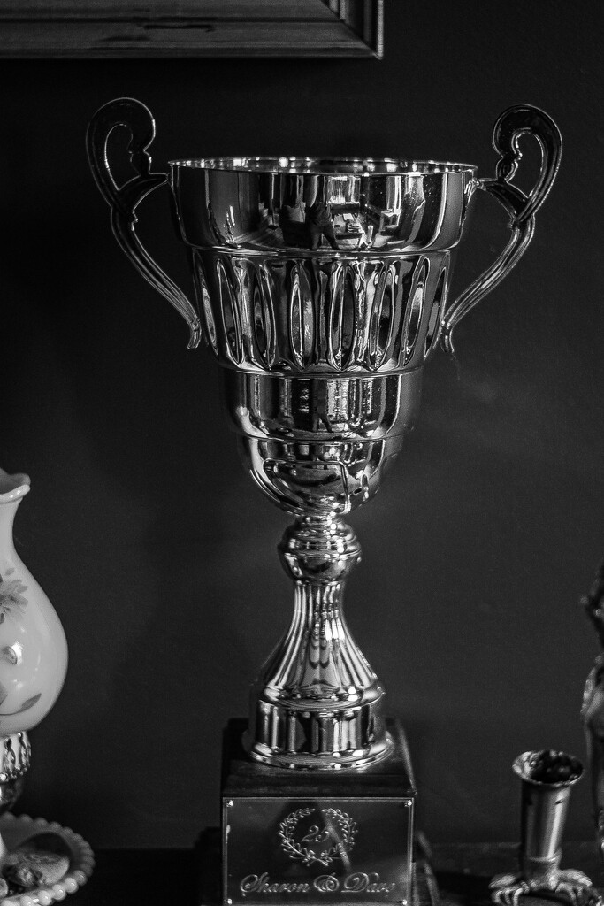 Trophy by darchibald