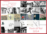 29th Feb 2024 - FoR 24 Collage