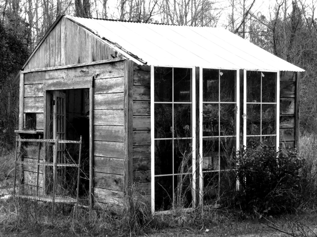 Originally Meant to Be A Greenhouse by grammyn