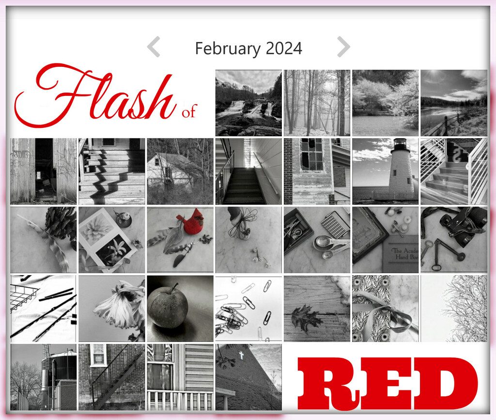 Flash of Red 2024 Calendar by olivetreeann