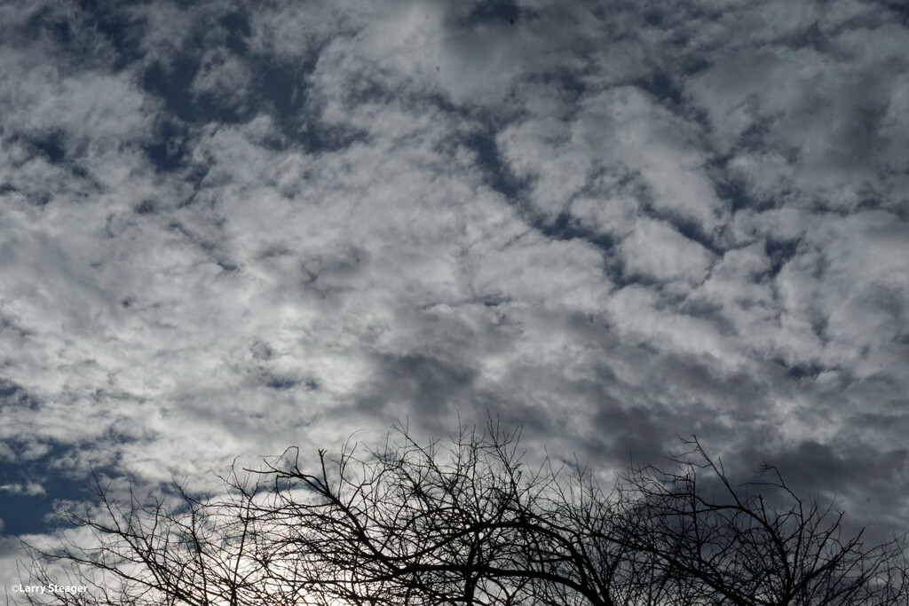 Winter 2024 clouds by larrysphotos
