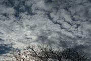 29th Feb 2024 - Winter 2024 clouds