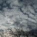 Winter 2024 clouds
