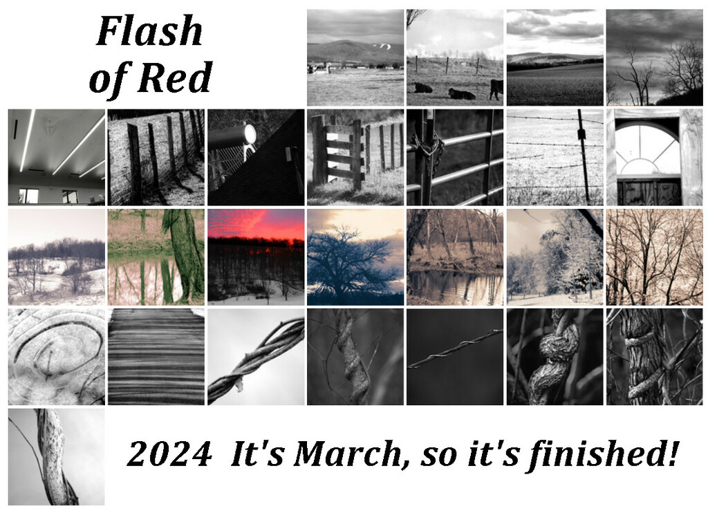 Flash of Red Calendar by francoise