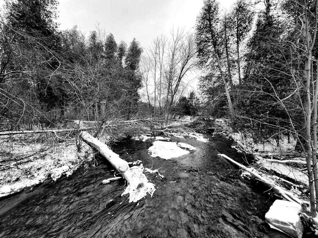 Snowy creek by ljmanning