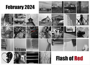 2nd Mar 2024 - Flash of Red 2024