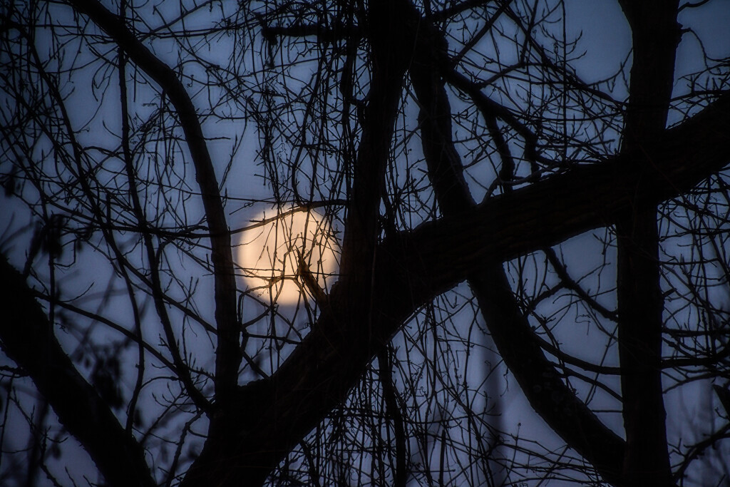 The Moon Outside My Front Window by kareenking