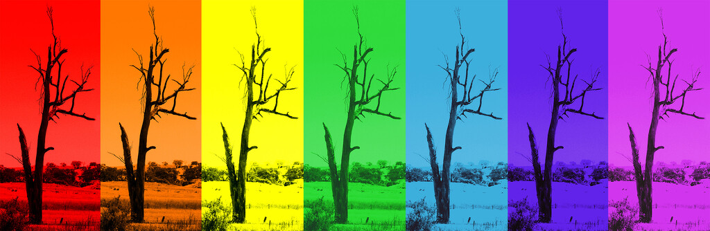 Rainbow Tree by Babs · 365 Project