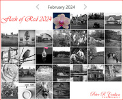 29th Feb 2024 - Flash of Red