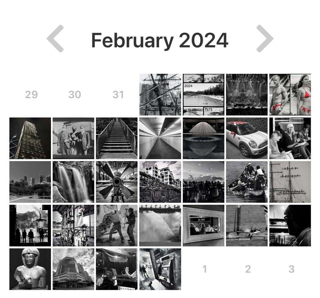 My February for2024 photos. I only had two with a flash of red! by johnfalconer