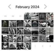 29th Feb 2024 - My February for2024 photos. I only had two with a flash of red!