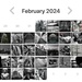 My February for2024 photos. I only had two with a flash of red!