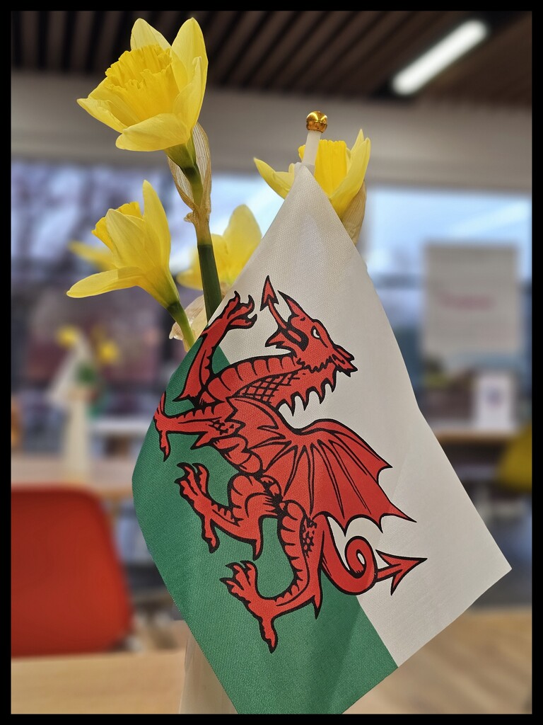 Early St David's day by kathryn54