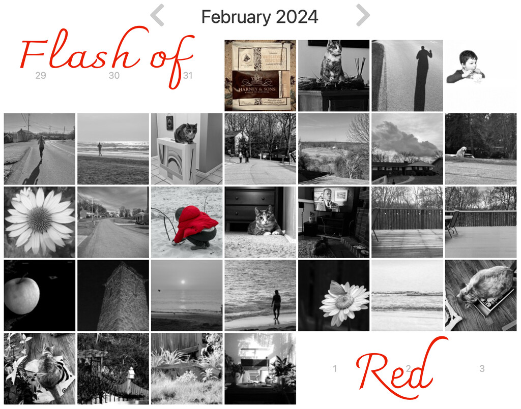 My Flash of Red 2024 Calendar by pej76