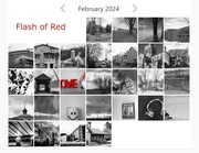 1st Mar 2024 - Flash of Red 2024