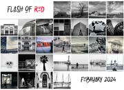 29th Feb 2024 - Flash of Red Calendar 2024