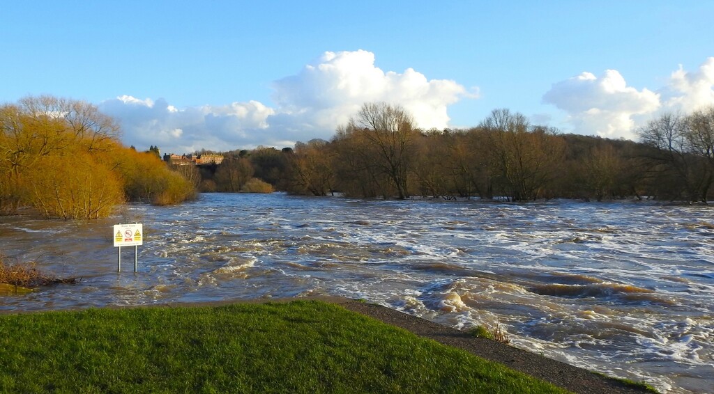 River Trent In Flood by oldjosh