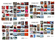 1st Mar 2024 - February 2024 collage