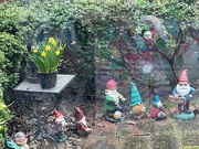2nd Mar 2024 - A Gnome Party