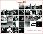 1st Mar 2024 - flash of red 2024