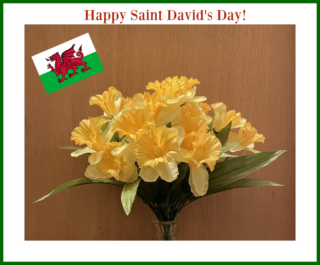 Happy St David's Day by mcsiegle
