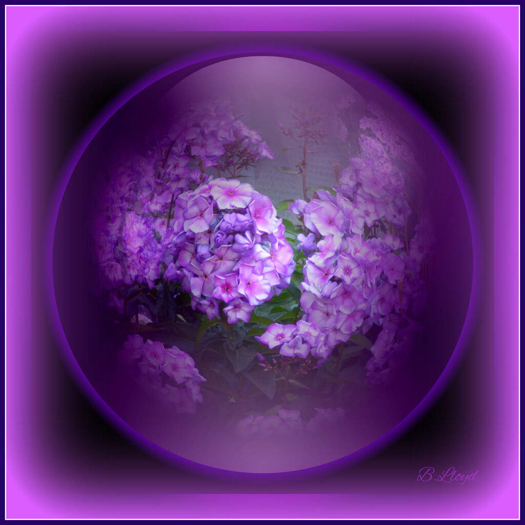 Purple globe by beryl