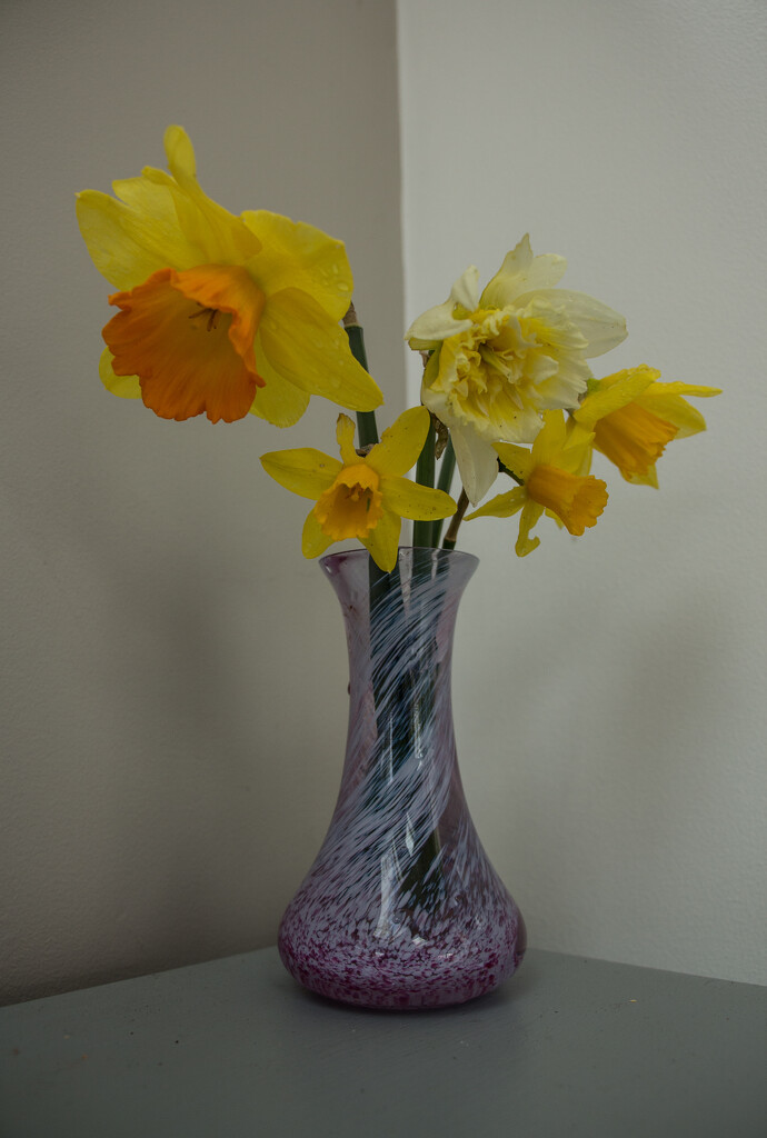 St David's Day by busylady