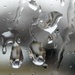 Raindrops by photogypsy