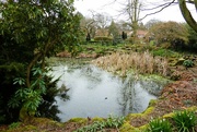 2nd Mar 2024 - Pond in Homestead Park