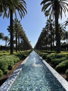 2nd Mar 2024 - Jardin du Parc de la Ligue Arabe, Casablanca