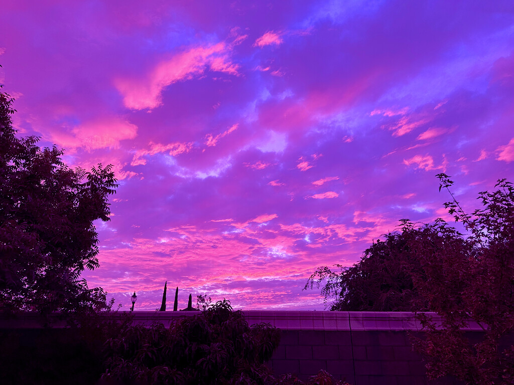 Purple sky by shutterbug49