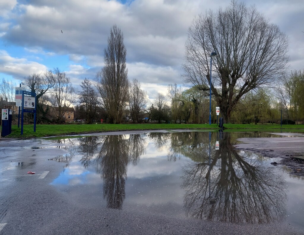 Park puddles by busylady