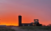 1st Mar 2024 - Farmer's sunrise