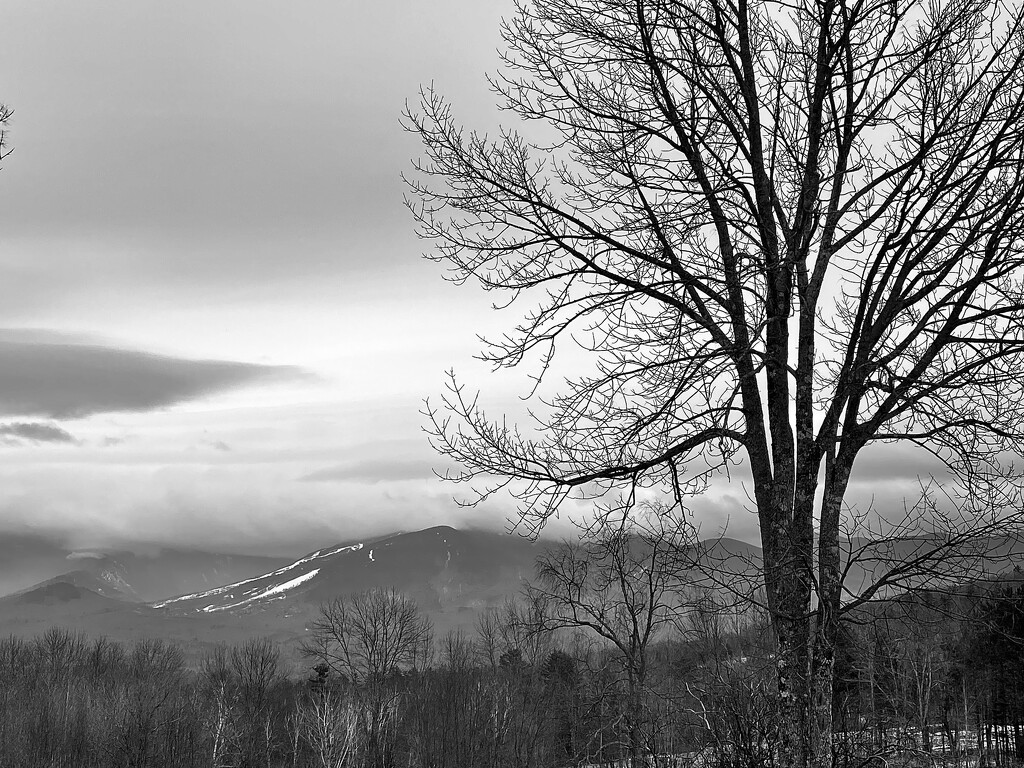 Window Mountain View by rickaubin