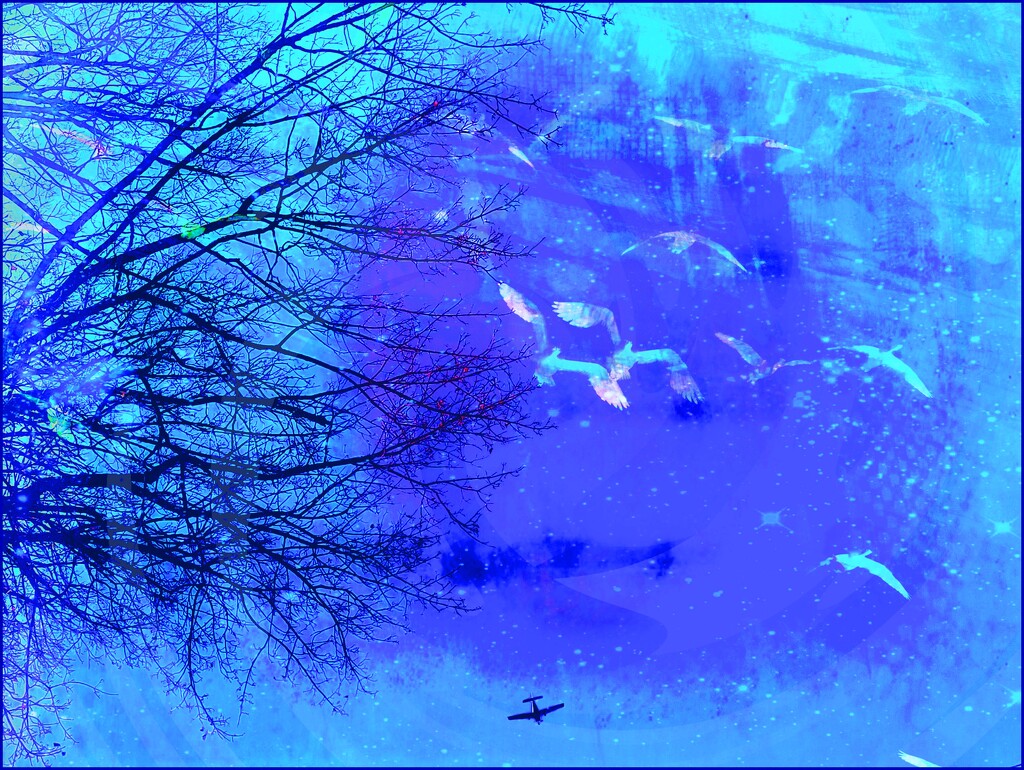 Flight in Blue by olivetreeann