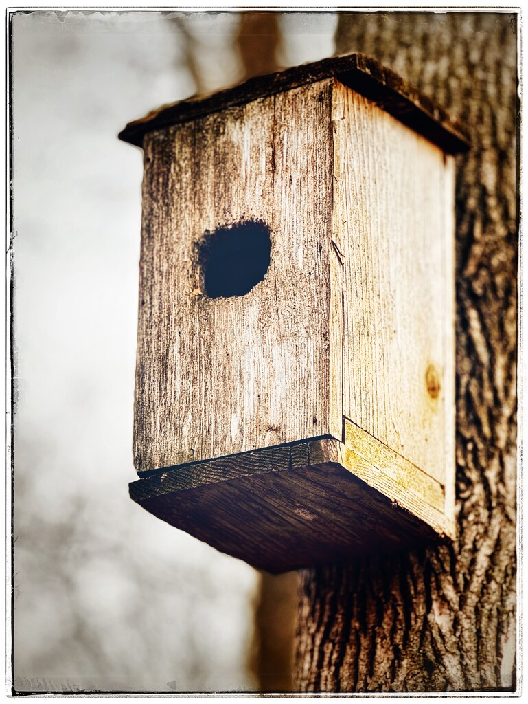 The Birdhouse on the Trail by eahopp