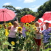 Brolly girls play in a field of sunflowers by gilbertwood